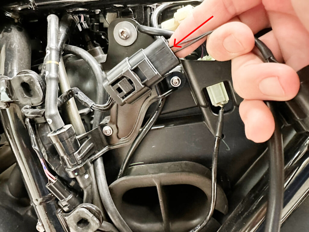 Plug in Rlink for Triumph